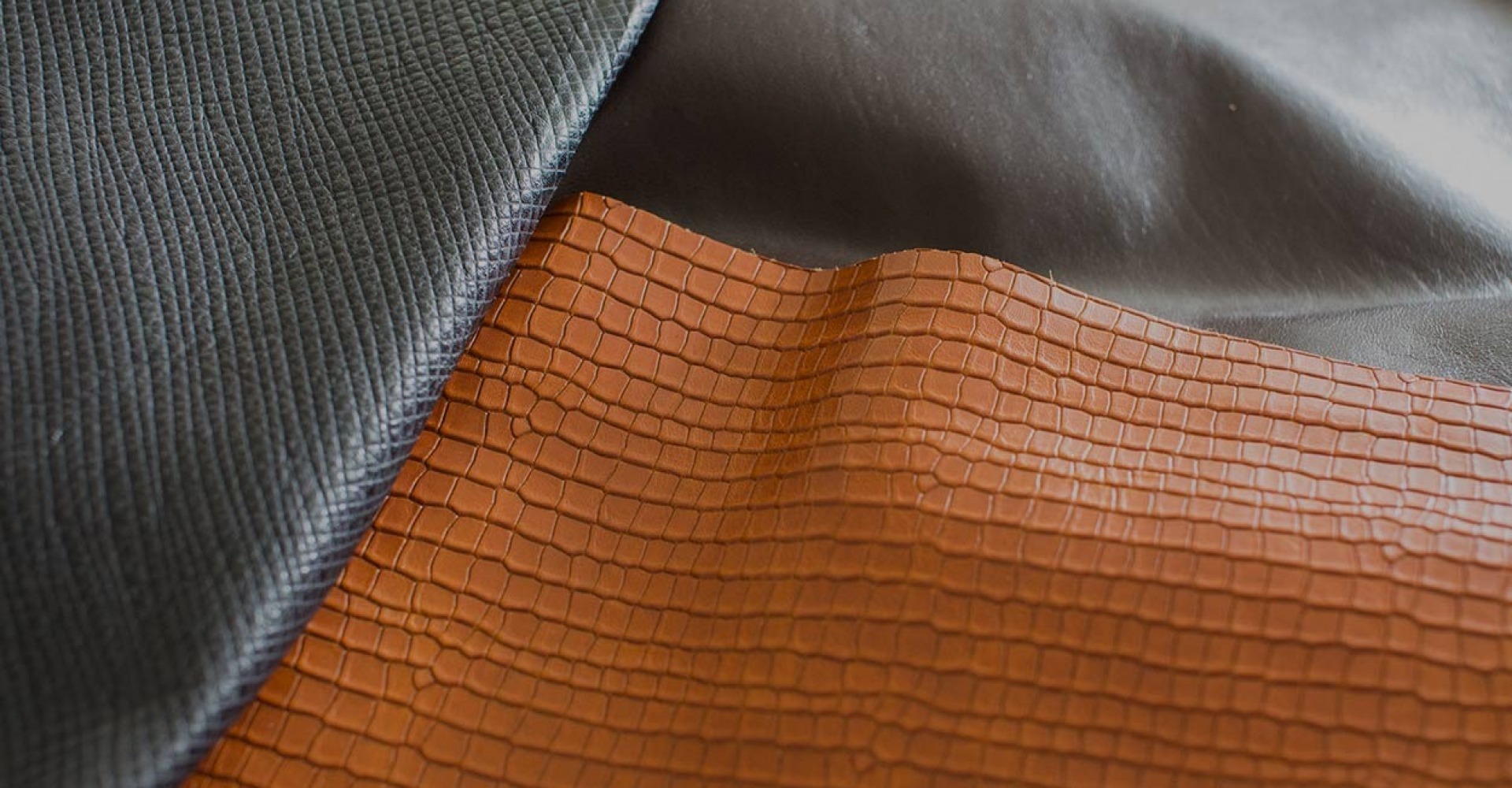 Ebro Chemicals testata News