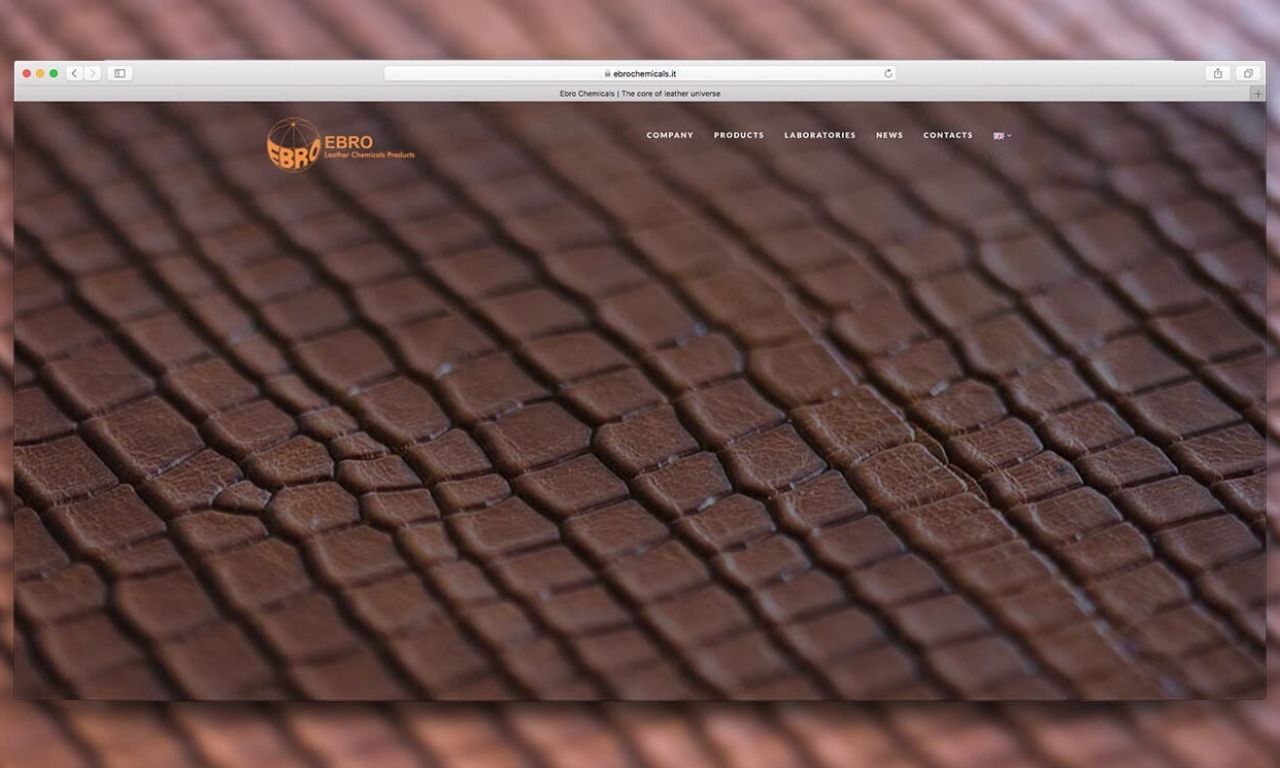 Ebro - Nuovo sito web